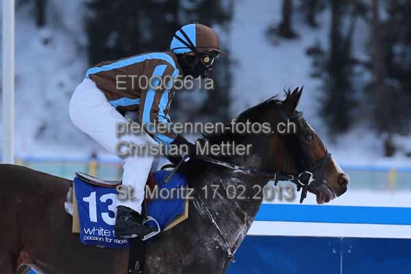 ET0Q0561a prot